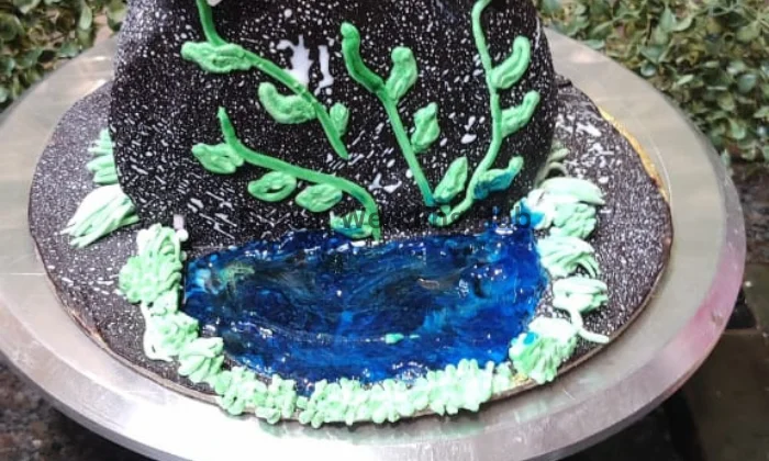 Dream Bakers  Cake Classes