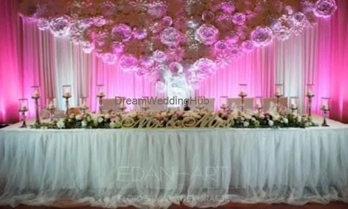 Dream Vision Party All Function