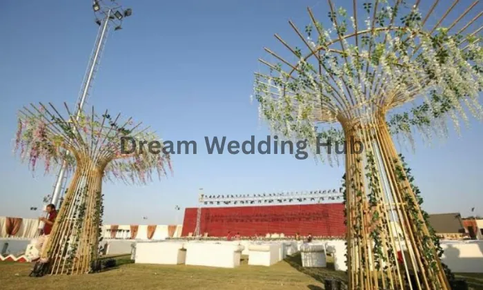 Dreamland Party Plot Dreamland Party Plot