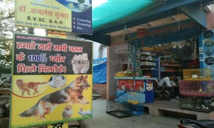 Dulhan Ladies Tailor And Fish Pet Shop