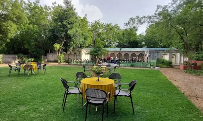 Gangaur Farms