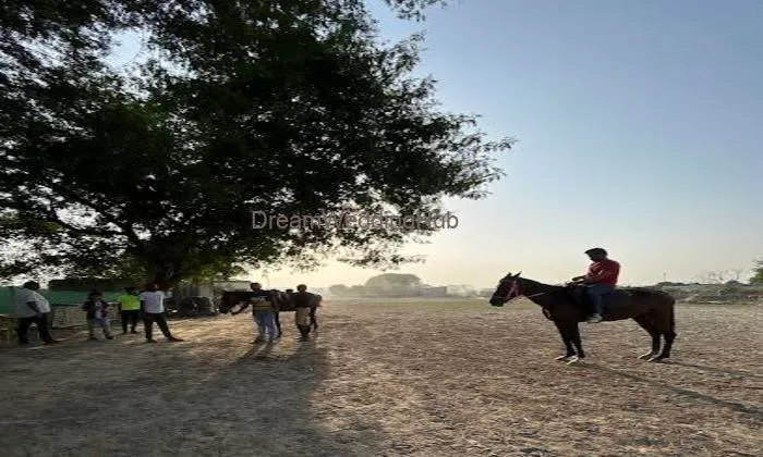 Global Equestrian Club