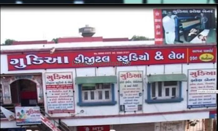 Gudiaa Flex Banner