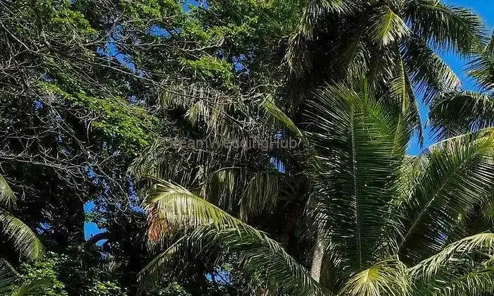 Havelock Island Beach Resort