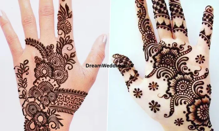 Heenaorganic Mehandi Cones