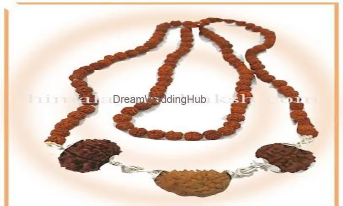 Himalaya Rudraksha Anusandhan Kendra Himalaya Rudraksha Anusandhan Kendra