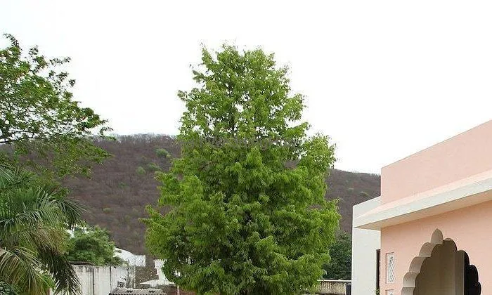 Hotel Yash Vilas