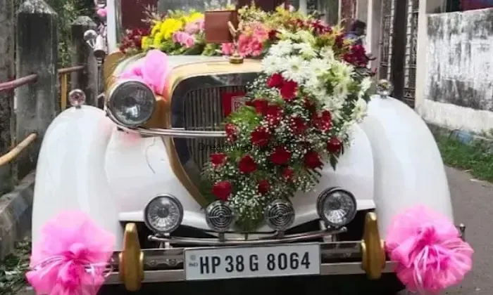 Hylex Car Rental