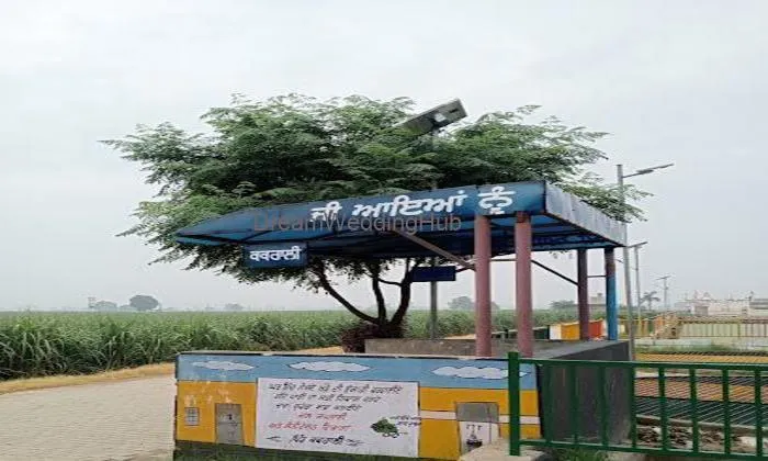 Jassi Maan Astrologer