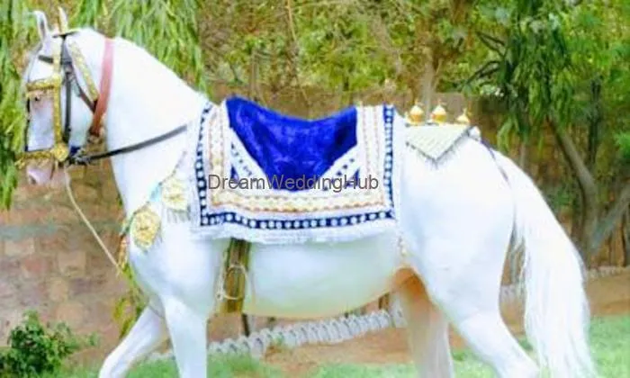 Jethanand Ji Ghodi And Baggi Wale