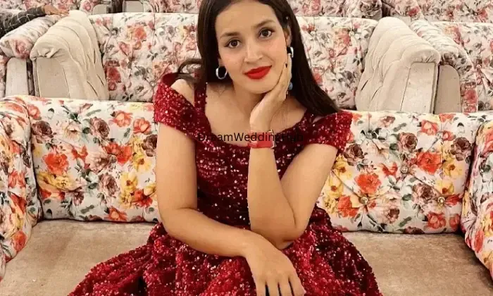 Krishna Collection Dress