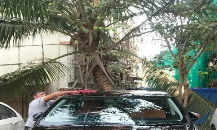 Krishna Travels