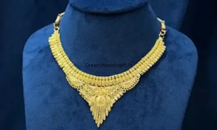 Laxmi Gold Palace 