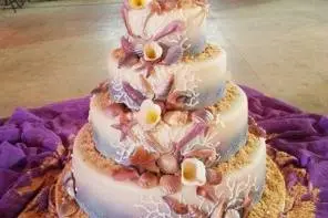 Live Cake Studio