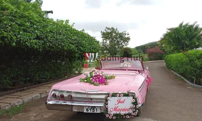 Luxedrive Car Rental