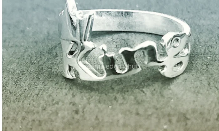 M S Nagi Jewellers