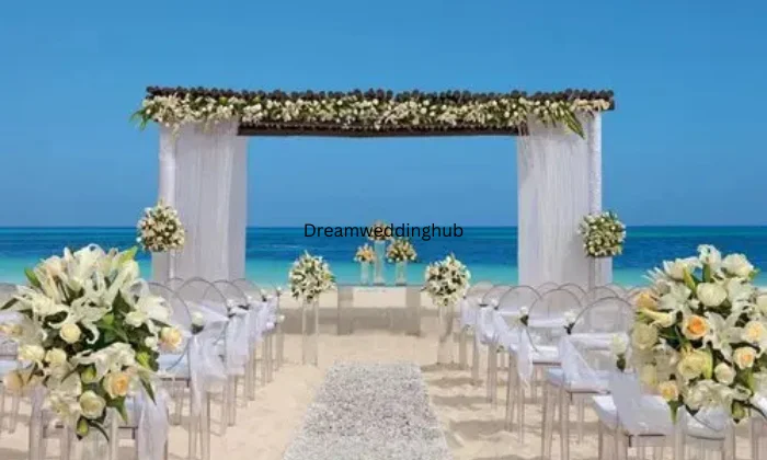 Maa Basanti Vivah Basar