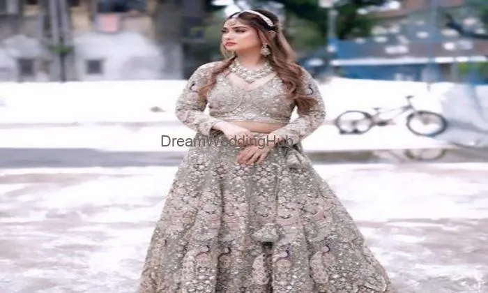 Magic World -bridal Lehenga Chaniya Choli Indo Western Gown Bridal Gown Jewellery On Rent (small To 4xl All Sizes Available)