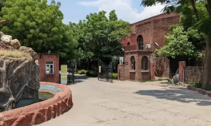 Magsons Resorts