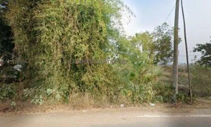 Mahima Variety Store