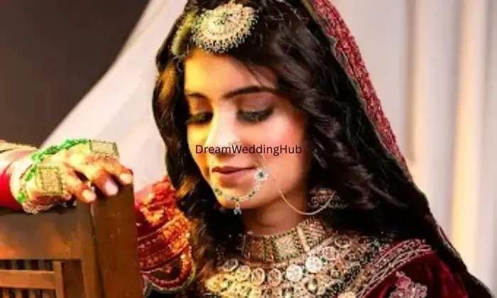 Makeup Artist Alfiya Raipur