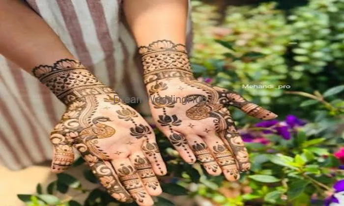 Mehandi Pro