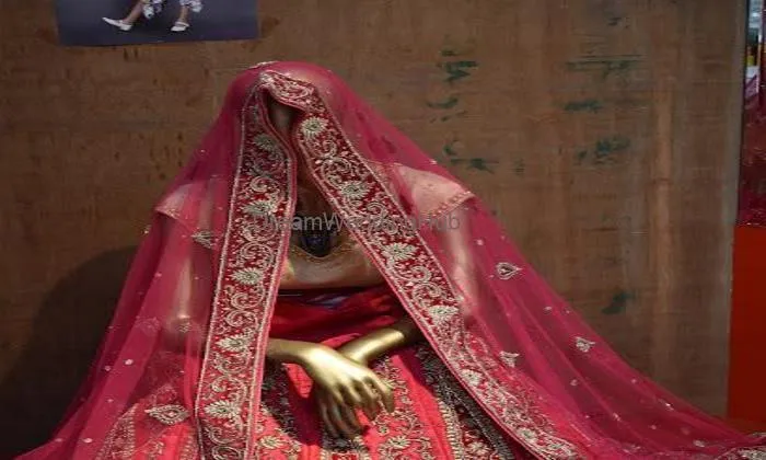 Mini's Indian Fashion