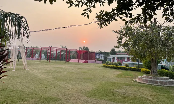 Mj Resort