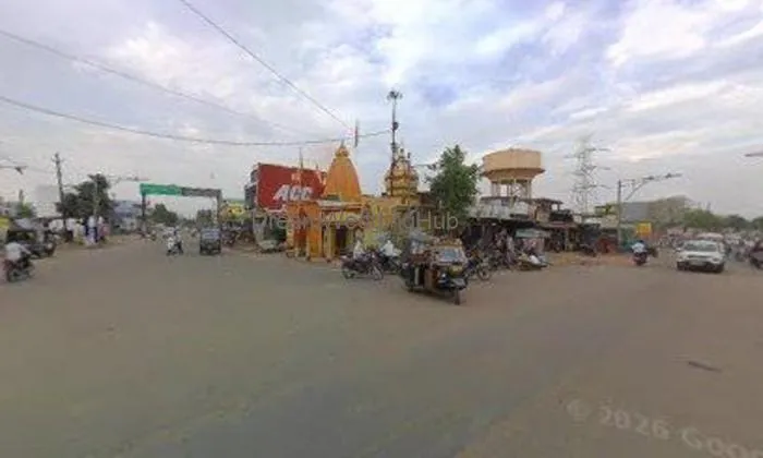 Mogli Photo Gallery