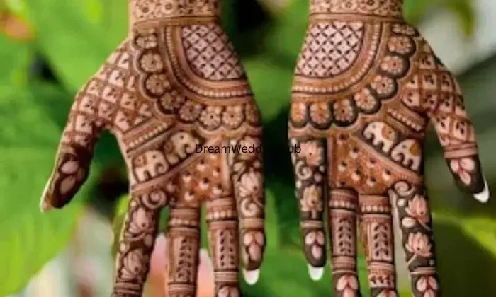 Mohit Mehndi Etawah
