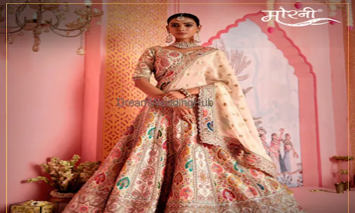 Morni - Suits, Indowestern Dresses, And Gowns