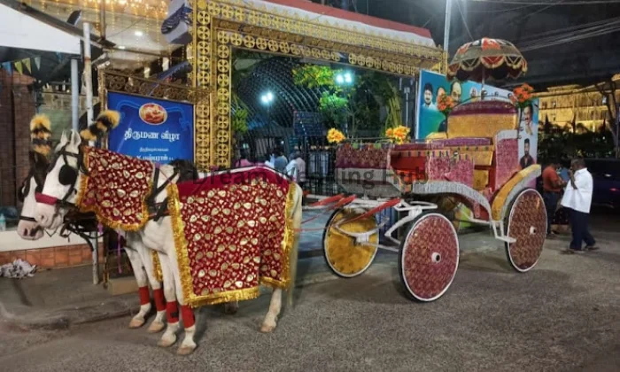 Moses Wedding Chariots