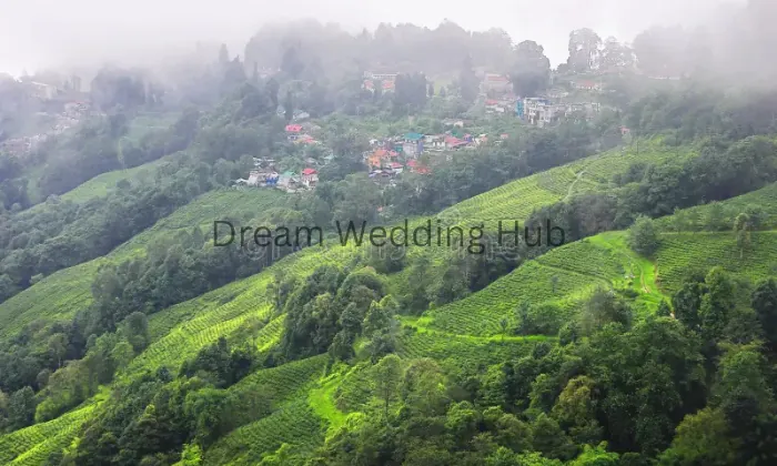 Mountain Green