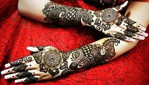 Mrunu Mehandi Art