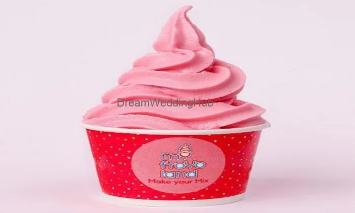 Myfroyoland Premium Frozen Yogurt - Mysuru