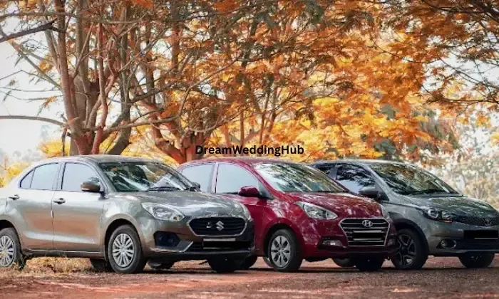 Mykey Self Drive Cars