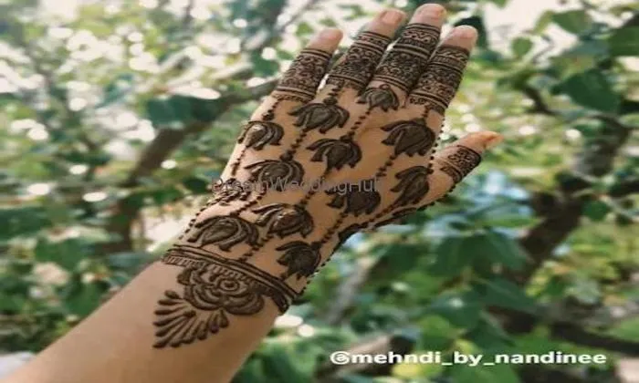 Nandinee Mehndi Art