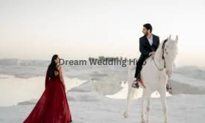 Navin's Retrograf - Pre Wedding