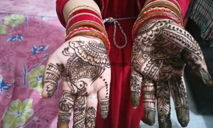 Neeru Sharma Heena Artist