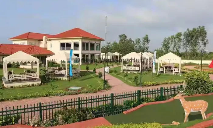 Neonz Lifestyle & Recreation Club