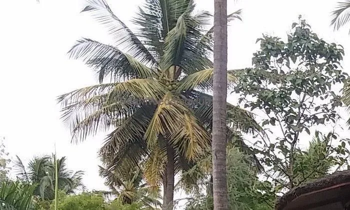 Nikhara Garden And Resorts Mandya