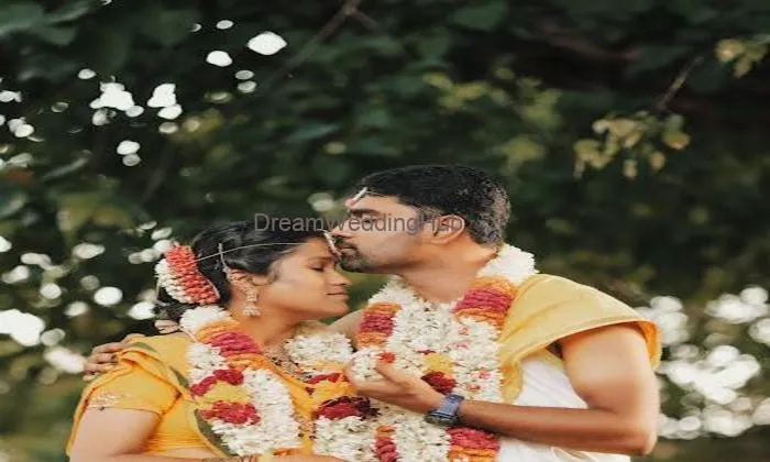 Nmg Photo Park - Wedding Photographer In Salem