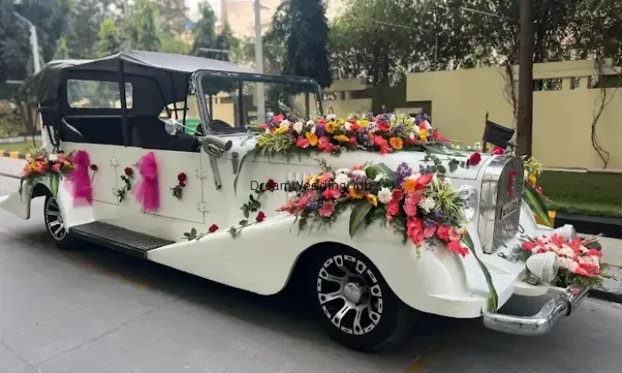 Noor Travels  Luxury