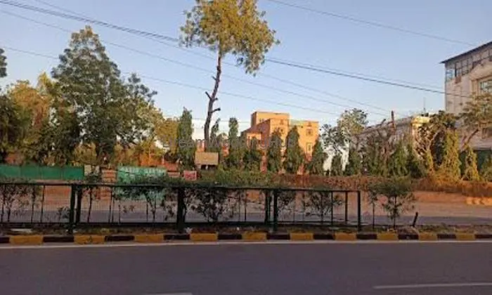 Oasis Garden