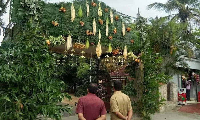 Om Muruga Pajchai Panthal Decoration Om Muruga Pajchai Panthal Decoration