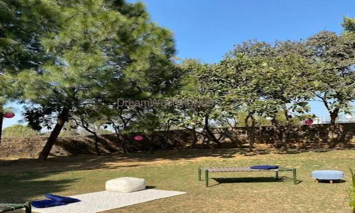 Orchard at Sarai