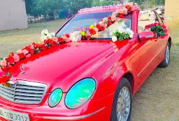 Paradise Car Rental