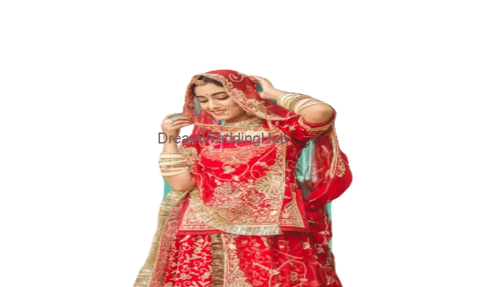 Pari Paridhan Rajputi Vastra Bhandhar