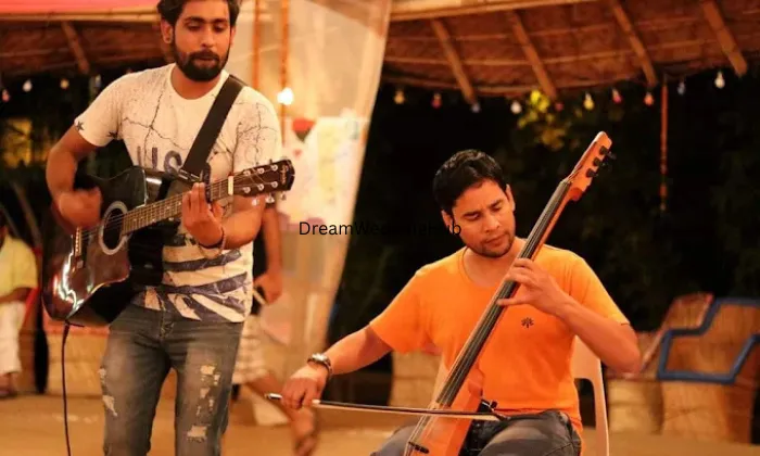 Party Singer,wedding Singer