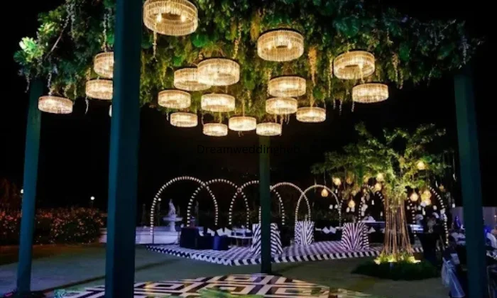Partyvala    Best Party Planner